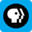 PBS Public Broadcasting Service