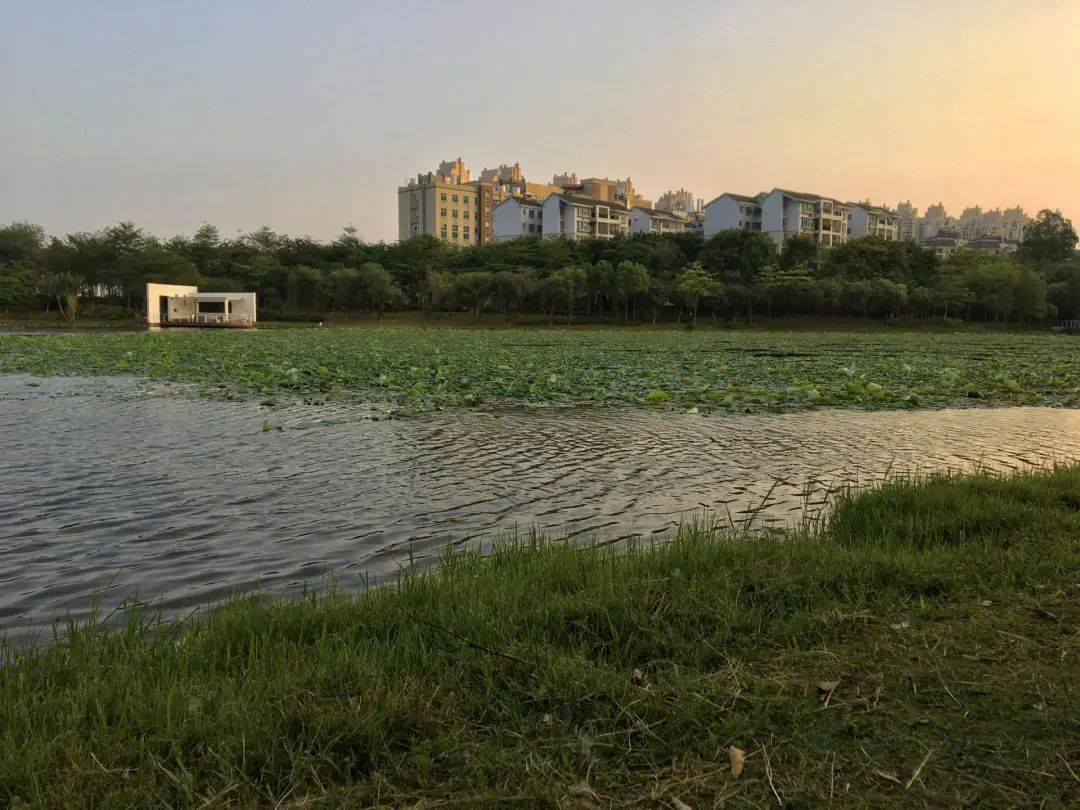 93年生的李嗨森：四年不工作，我活得更好了